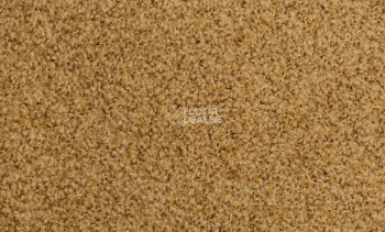 Ковролин Vorwerk Exclusive1009/Elara 2d91 фото 1 | FLOORDEALER